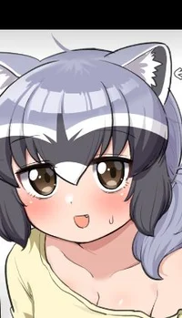 Raccoon girl tf