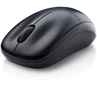 computer mouse