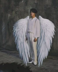 Jimin angel 