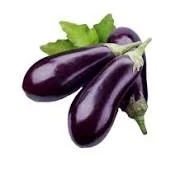 Eggplant
