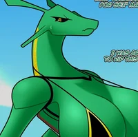 Rayza The Rayquaza 