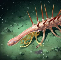 Hallucigenia
