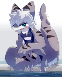 Jensen the tigershar