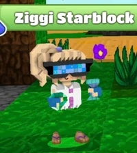 Ziggi Starblock 