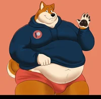 Chonky Shiba 