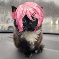 Naruki roommate