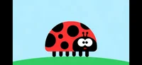Ladybird