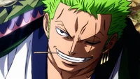 Timeskip Zoro