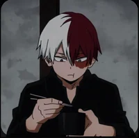 Shoto Todorki