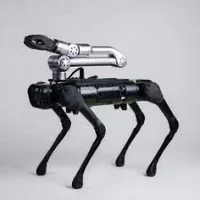 Robot dog