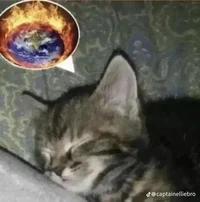 Sleepover - allstars