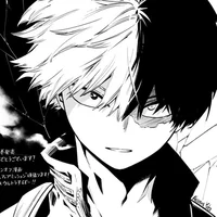 Shoto Todoroki