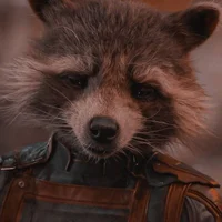 Rocket Raccoon