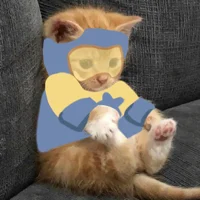 Kitten Booster Gold