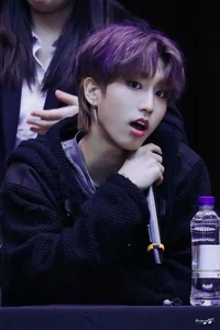 Han Jisung 