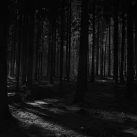 Eddie Munson Tumblr4