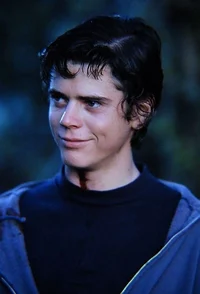 Ponyboy Curtis 