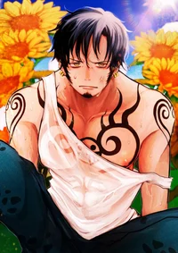 Trafalgar Law