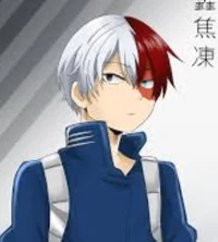Shoto Todoroki 