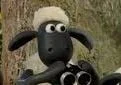 Wedus Shaun