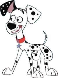 Dylan Dalmatian