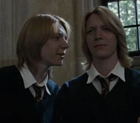 Weasley twins 