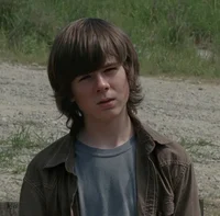 Carl grimes s3