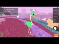 Roblox BIRD