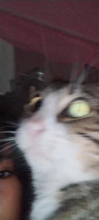 Chico vagabundo