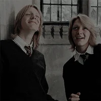 Twins Weasley