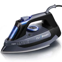 Steam Iron