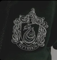 Slytherin Gang 