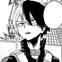 Shoto Todoroki