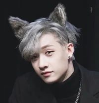 Bang Chan 