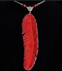 Hawks feather 
