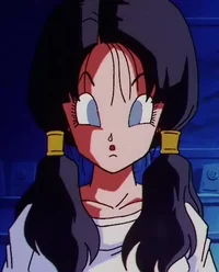 Videl Boba