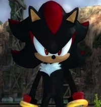 Shadow The Hedgehog