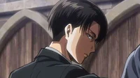 Levi Ackerman 