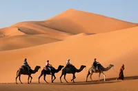 Arab Desert