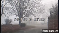 The fog