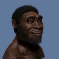 Homo Erectus