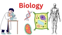 Bio