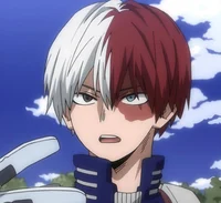 Shoto Todoroki