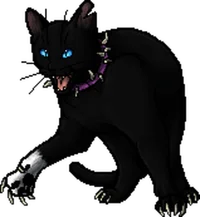 Scourge