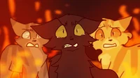 Warrior Cats