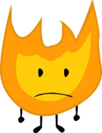 2009 Firey
