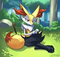Braixen tf tg