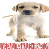 Carlitos Walten