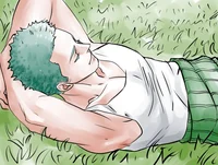 Roronoa Zoro 