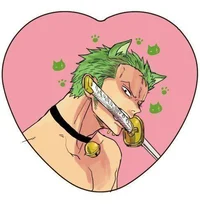 Catboy Zoro 